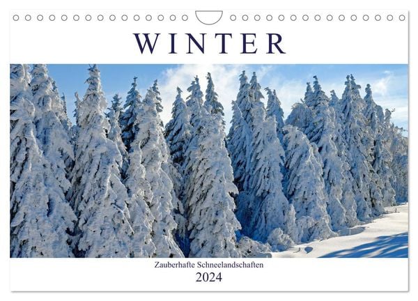 Winter. Zauberhafte Schneelandschaften (Wandkalender 2024 DIN A4 quer), CALVENDO Monatskalender