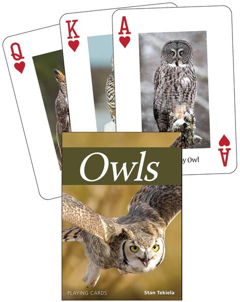 Produktbild: Owls Playing Cards