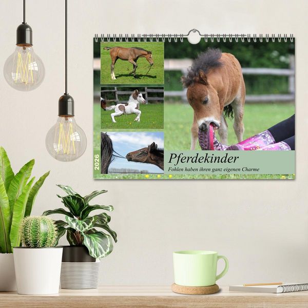 Produktbild: Pferdekinder - Fohlen haben ihren ganz eigenen Charme (Wandkalender 2026 DIN A4 quer), CALVENDO Monatskalender