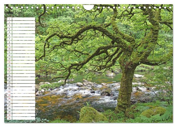Produktbild: Einsame Natur - Terminkalender (Wandkalender 2026 DIN A4 quer), CALVENDO Monatskalender