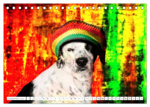 Produktbild: Hund tr&auml;gt Hut (Tischkalender 2026 DIN A5 quer), CALVENDO Monatskalender