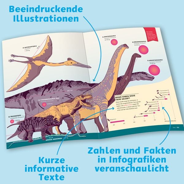 Produktbild: Das große Buch der Infografiken