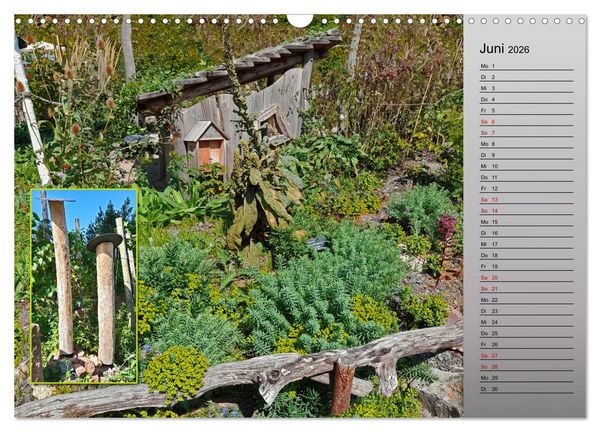 Produktbild: Bl&uuml;hende Gartenparks in Mannheim (Wandkalender 2026 DIN A3 quer), CALVENDO Monatskalender