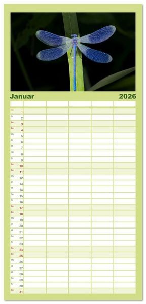 Produktbild: Familienplaner 2026 - Naturwunder Libellen mit 5 Spalten (Wandkalender, 21 x 45 cm) CALVENDO