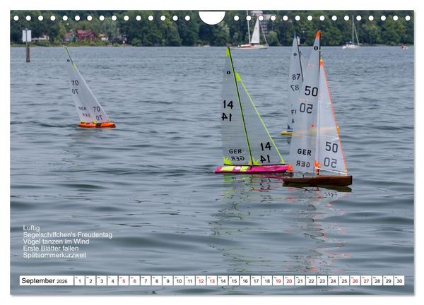 Produktbild: Mit Elfchen durch das Jahr (Wandkalender 2026 DIN A4 quer), CALVENDO Monatskalender