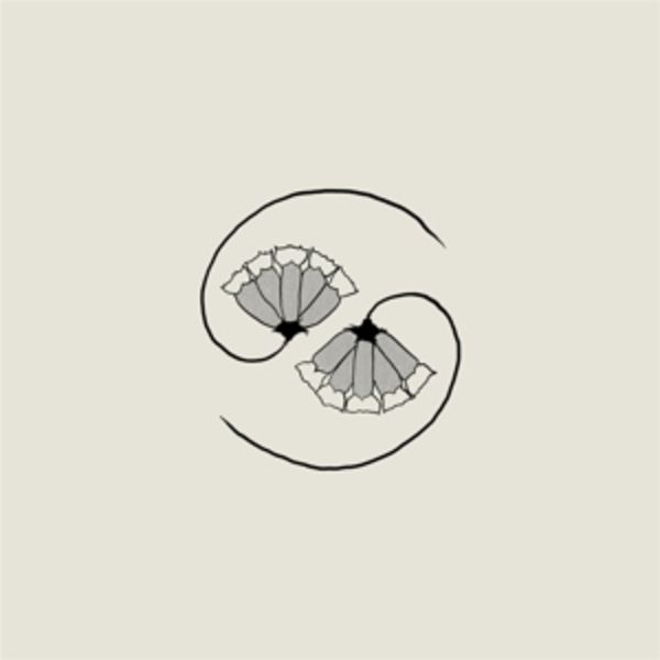 G_DS PEE AT STATES END! (180gLP+10) - Godspeed You! Black Emperor, Vinyl