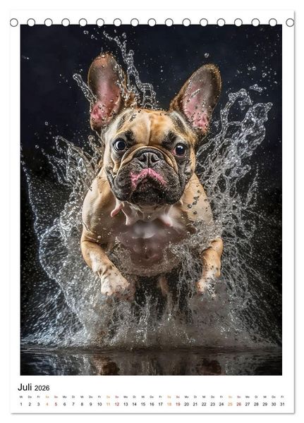 Produktbild: Hunde Lieblinge (Tischkalender 2026 DIN A5 hoch), CALVENDO Monatskalender