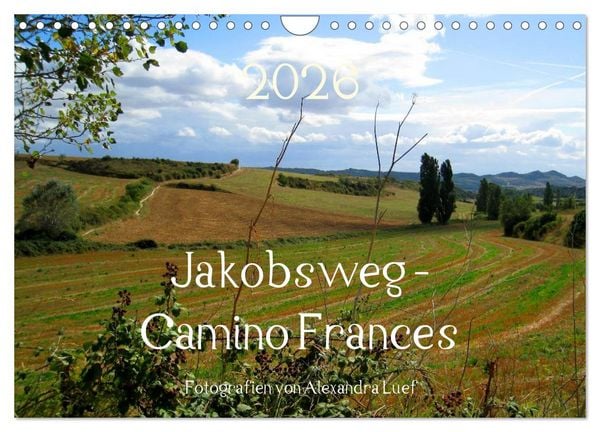 Produktbild: Jakobsweg - Camino Frances (Wandkalender 2026 DIN A4 quer), CALVENDO Monatskalender