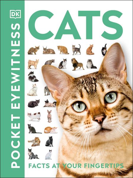 Produktbild: Cats