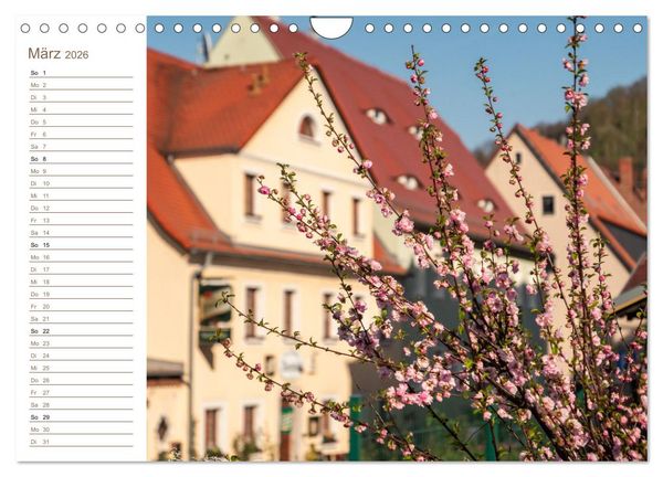 Produktbild: K&ouml;nigstein Perspektiven - Elbsandstein (Wandkalender 2026 DIN A4 quer), CALVENDO Monatskalender