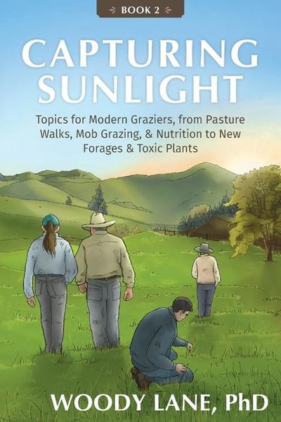 Produktbild: Capturing Sunlight, Book 2