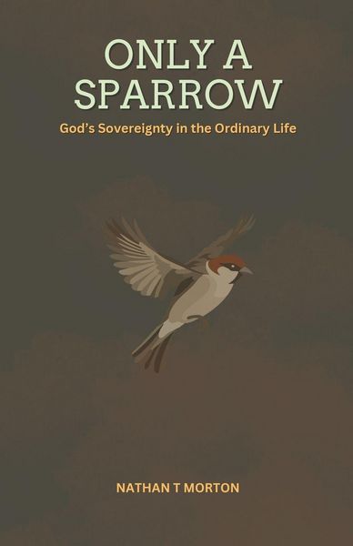 Produktbild: Only A Sparrow
