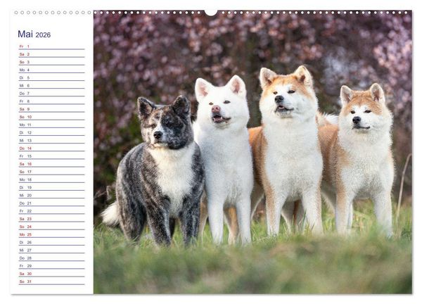 Produktbild: Japans Seelenhunde (Wandkalender 2026 DIN A2 quer), CALVENDO Monatskalender