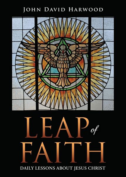 Produktbild: Leap Of Faith