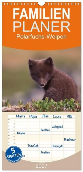 Produktbild: Familienplaner 2027 - Polarfuchs-Welpen mit 5 Spalten (Wandkalender, 21 x 45 cm) CALVENDO
