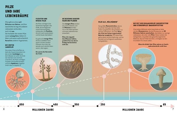 Produktbild: Die Geheimnisse der Pilze