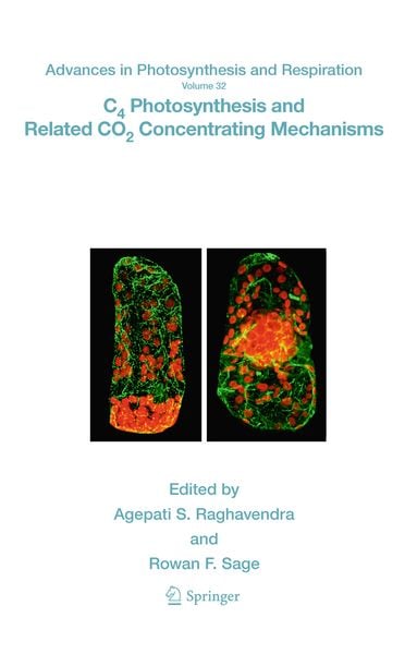 Produktbild: C4 Photosynthesis and Related CO2 Concentrating Mechanisms