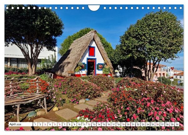 Produktbild: Madeira island of eternal spring (Wall Calendar 2026 DIN A4 landscape), CALVENDO 12 Month Wall Calendar