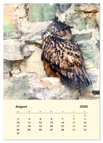 Produktbild: Uhu, die Faszination bernsteinfarbener Augen (hochwertiger Premium Wandkalender 2026 DIN A2 hoch), Kunstdruck in Hochglanz