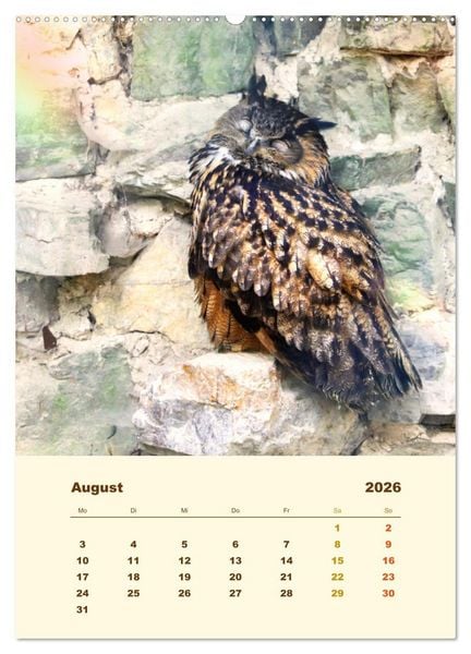 Produktbild: Uhu, die Faszination bernsteinfarbener Augen (Wandkalender 2026 DIN A2 hoch), CALVENDO Monatskalender
