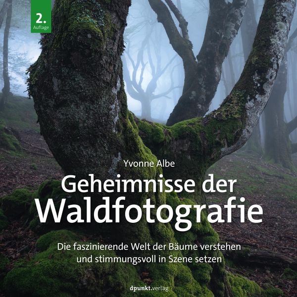 Produktbild: Geheimnisse der Waldfotografie