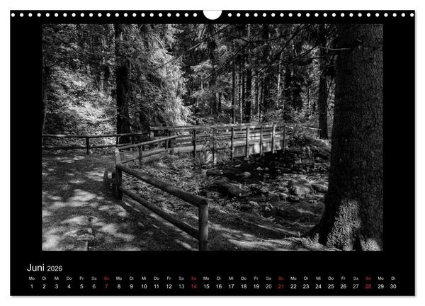Produktbild: Harz-Bilder in monochrome (Wandkalender 2026 DIN A3 quer), CALVENDO Monatskalender