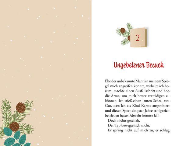 Produktbild: Entf&uuml;hrt im Advent - kein Krimi