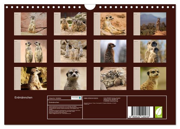 Produktbild: Erdm&auml;nnchen (Wandkalender 2026 DIN A4 quer), CALVENDO Monatskalender