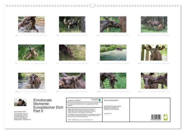Produktbild: Emotionale Momente: Europ&auml;ischer Elch Part II (Wandkalender 2027 DIN A2 quer), CALVENDO Monatskalender