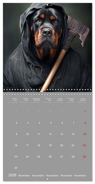 Produktbild: If dogs were humans (Wall Calendar 2026 12 &times; 12 Inch) CALVENDO 12 Month Wall Calendar