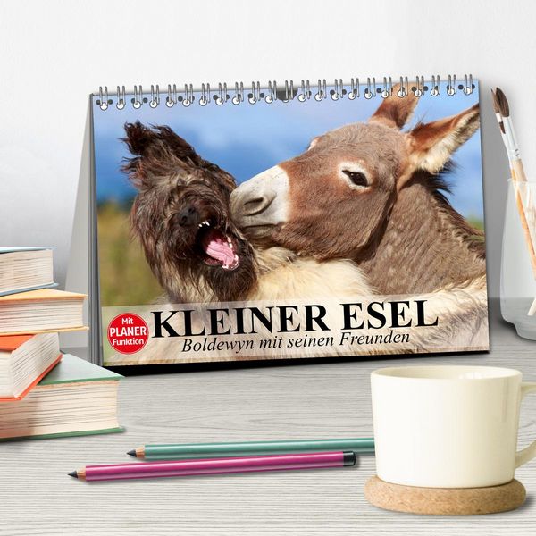 Produktbild: Kleiner Esel. Boldewyn mit seinen Freunden (Tischkalender 2026 DIN A5 quer), CALVENDO Monatskalender