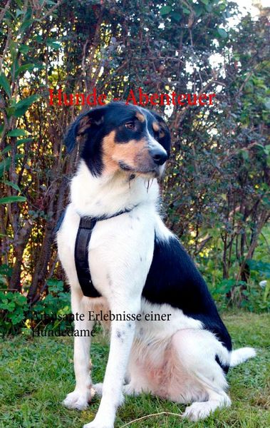 Produktbild: Hunde - Abenteuer