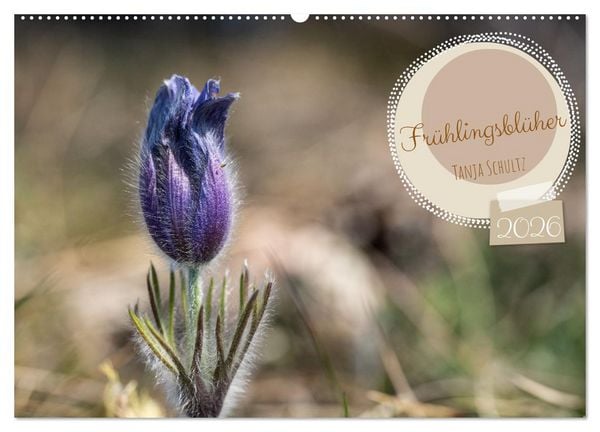 Produktbild: Fr&uuml;hlingsbl&uuml;her - Farbenpracht nach dem Winter (Wandkalender 2026 DIN A2 quer), CALVENDO Monatskalender