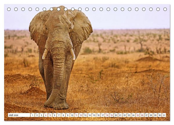 Produktbild: Elefanten-Traum - Herzenssache Afrika (Tischkalender 2026 DIN A5 quer), CALVENDO Monatskalender