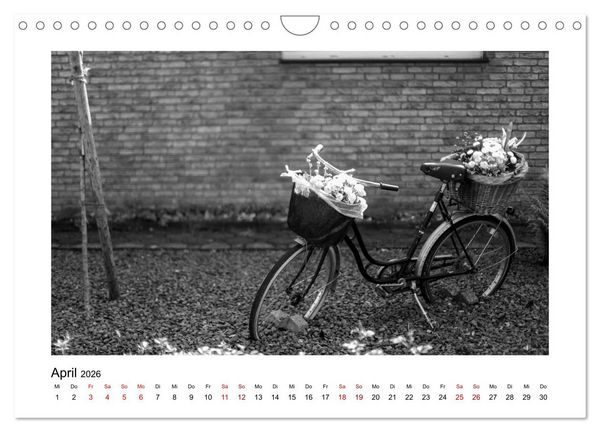 Produktbild: K&ouml;ln-H&ouml;henhaus heute (Wandkalender 2026 DIN A4 quer), CALVENDO Monatskalender
