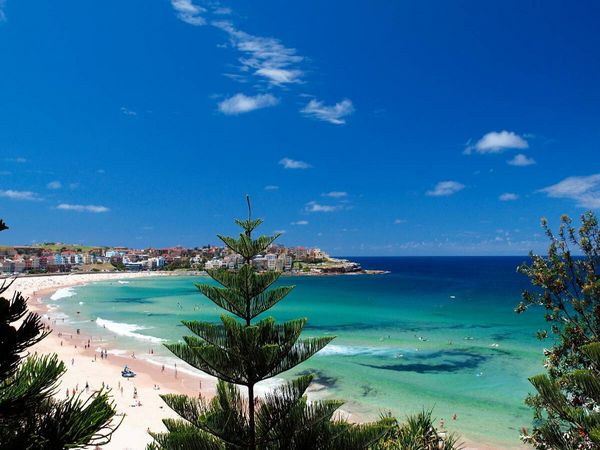 Produktbild: CALVENDO Puzzle SYDNEY Bondi Beach | 1000 Teile Lege-Gr&ouml;&szlig;e 64x48cm Foto-Puzzle f&uuml;r gl&uuml;ckliche Stunden