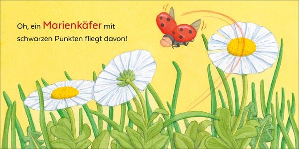Produktbild: Wer hat sich denn hier versteckt?