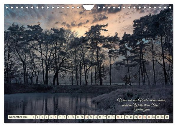 Produktbild: Waldbaden - Shinrin Yoku (Wandkalender 2026 DIN A4 quer), CALVENDO Monatskalender