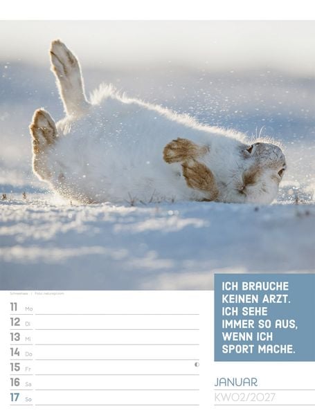 Produktbild: Tierisch Spr&uuml;chekalender Wochenplaner 2027