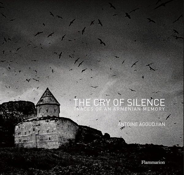 Produktbild: The Cry of Silence