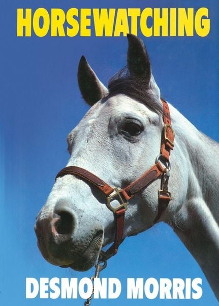 Produktbild: Horsewatching
