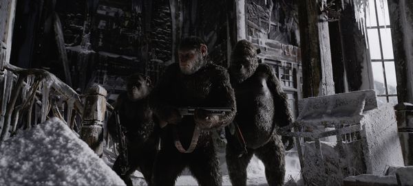 Planet der Affen: Survival