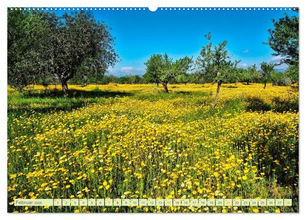 Produktbild: Blumenwiesen &ndash; ein bl&uuml;tenzauberhaftes Jahr (Wandkalender 2026 DIN A2 quer), CALVENDO Monatskalender