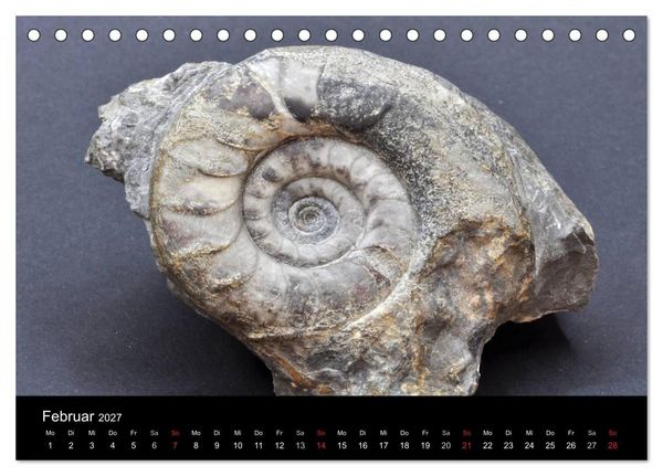 Produktbild: Fossilien - Zeugen der Urzeit (Tischkalender 2027 DIN A5 quer), CALVENDO Monatskalender