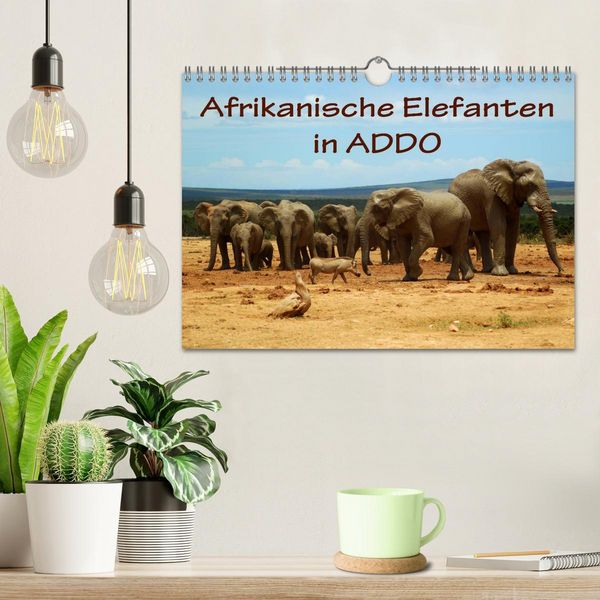 Produktbild: Afrikanische Elefanten in ADDO (Wandkalender 2026 DIN A4 quer), CALVENDO Monatskalender
