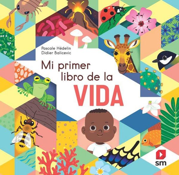 Produktbild: Mi primer libro de la vida
