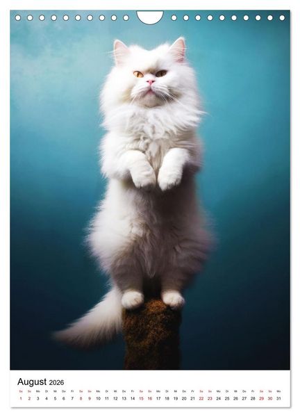 Produktbild: Miau Yoga (Wandkalender 2026 DIN A4 hoch), CALVENDO Monatskalender