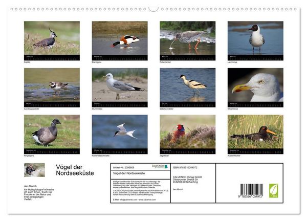 Produktbild: V&ouml;gel der Nordseek&uuml;ste (hochwertiger Premium Wandkalender 2026 DIN A2 quer), Kunstdruck in Hochglanz