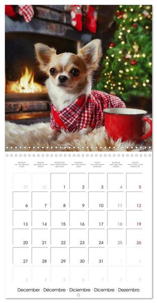 Produktbild: Chilling Chihuahuas (Wall Calendar 2027 12 &times; 12 Inch) CALVENDO 12 Month Wall Calendar
