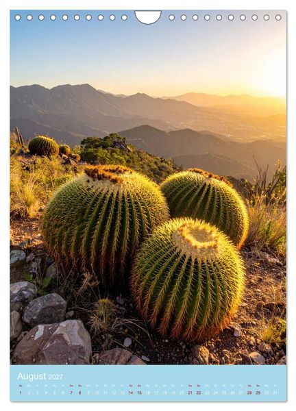 Produktbild: Stachelliebe (Wandkalender 2027 DIN A4 hoch), CALVENDO Monatskalender